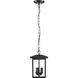Jamesport 8 inch Matte Black Outdoor Hanging Lantern