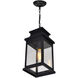 Milford 1 Light 7.25 inch Black Outdoor Hanging Light