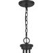 Pruitt 3 Light 22 inch Matte Black Chandelier Ceiling Light in Clear Seedy Glass