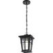 Bodine 1 Light 7 inch Black Outdoor Pendant