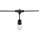 Lumos 12 Light LED 24 foot Black LED String Lights