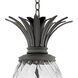 Plantation 4 Light 12.5 inch Museum Black Outdoor Hanging Lantern