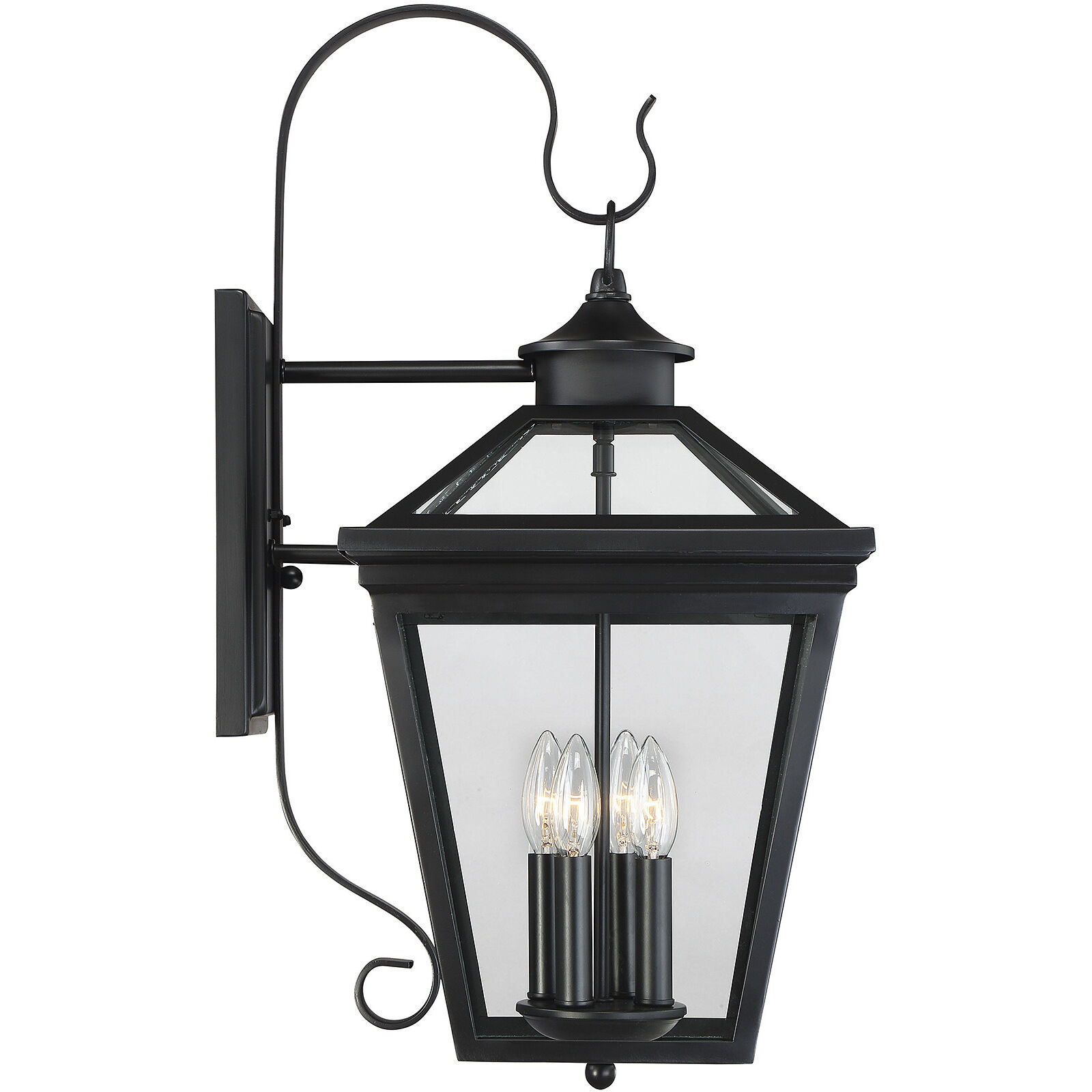 Ellijay Outdoor Wall Lantern in Black