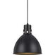 Webster 1 Light 10 inch Dark Bronze Pendant Set Ceiling Light, Line Voltage