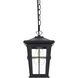 Bodine 1 Light 7 inch Black Outdoor Pendant