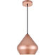 Axiom 1 Light 10 inch Honey Gold Pendant Ceiling Light