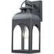 Presence 1 Light 13 inch Black Outdoor Wall Lantern