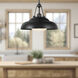Palmetto Pendant Ceiling Light in Urban Bronze