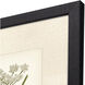Queen's Lace Green and Neutral Framed Art, Propac