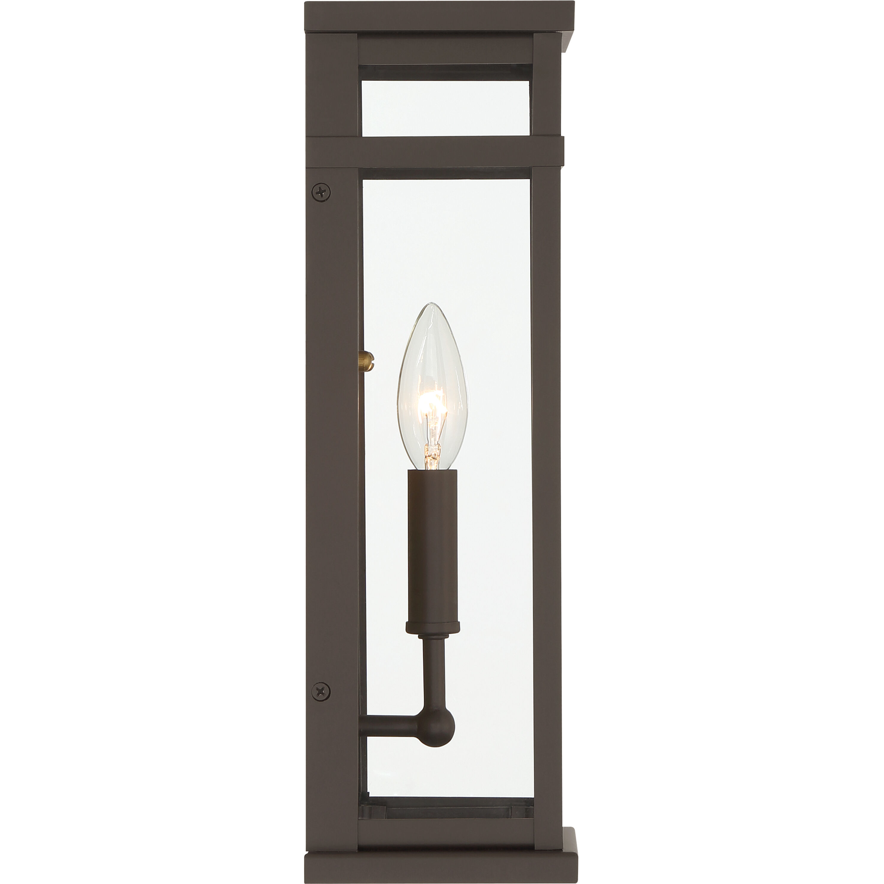 Briarlane 1 Light 14.5 inch Painted Legacy Brass and Dark Bronze Outdoor Wall Sconce