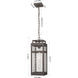 Ridgeway 1 Light 6.75 inch Bronze Outdoor Pendant in Waterglass