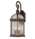 Botanica 4 Light 26 inch Black Outdoor Wall Lantern