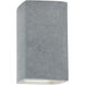 Ambiance Collection LED 13.5 inch Concrete Outdoor Wall Sconce