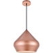 Axiom 1 Light 14 inch Honey Gold Pendant Ceiling Light