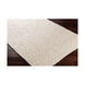 Kapara 36 X 24 inch Beige/Dark Brown Rugs, Rectangle