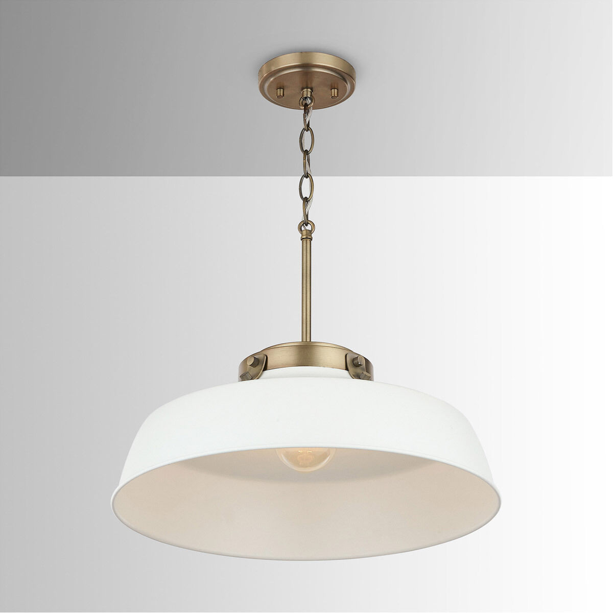 Oakwood 1 Light 18 inch Matte White Pendant Ceiling Light