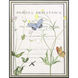 Ephemeral Green and Blue and Multi and Orange Framed Art