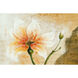Surya Wall Decor Wall Art - Stock