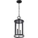 Broadstone 2 Light 8.63 inch Matte Black Outdoor Hanging Light