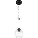 Glenda 1 Light 6 inch Flat Black Mini Pendant Ceiling Light