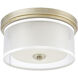 Diffusion 2 Light 13 inch Aged Silver Flush Mount Ceiling Light