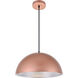 Circa 1 Light 15.5 inch Honey Gold Pendant Ceiling Light