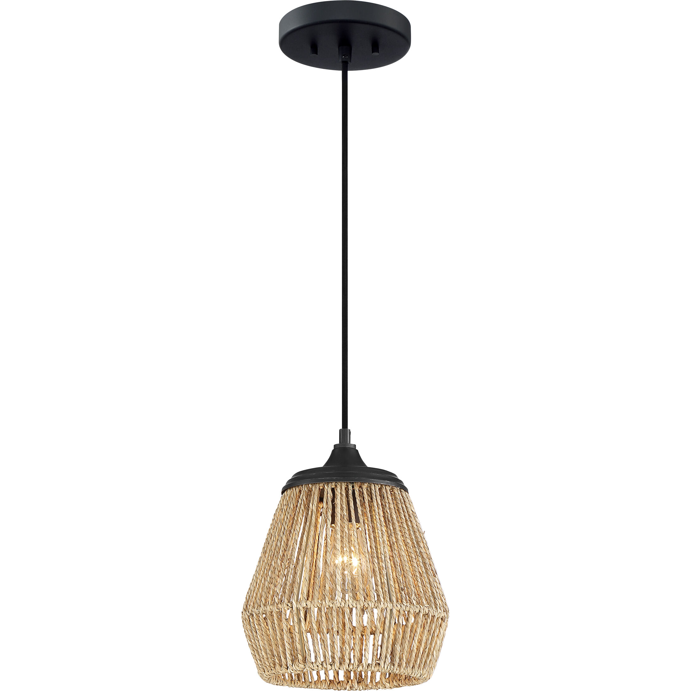 Romain 1 Light 9 inch Earth Black Mini Pendant Ceiling Light 