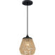 Romain 1 Light 9 inch Earth Black Mini Pendant Ceiling Light 