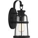 Quinton 1 Light 13.25 inch Matte Black Outdoor Wall Lantern, Lighting One
