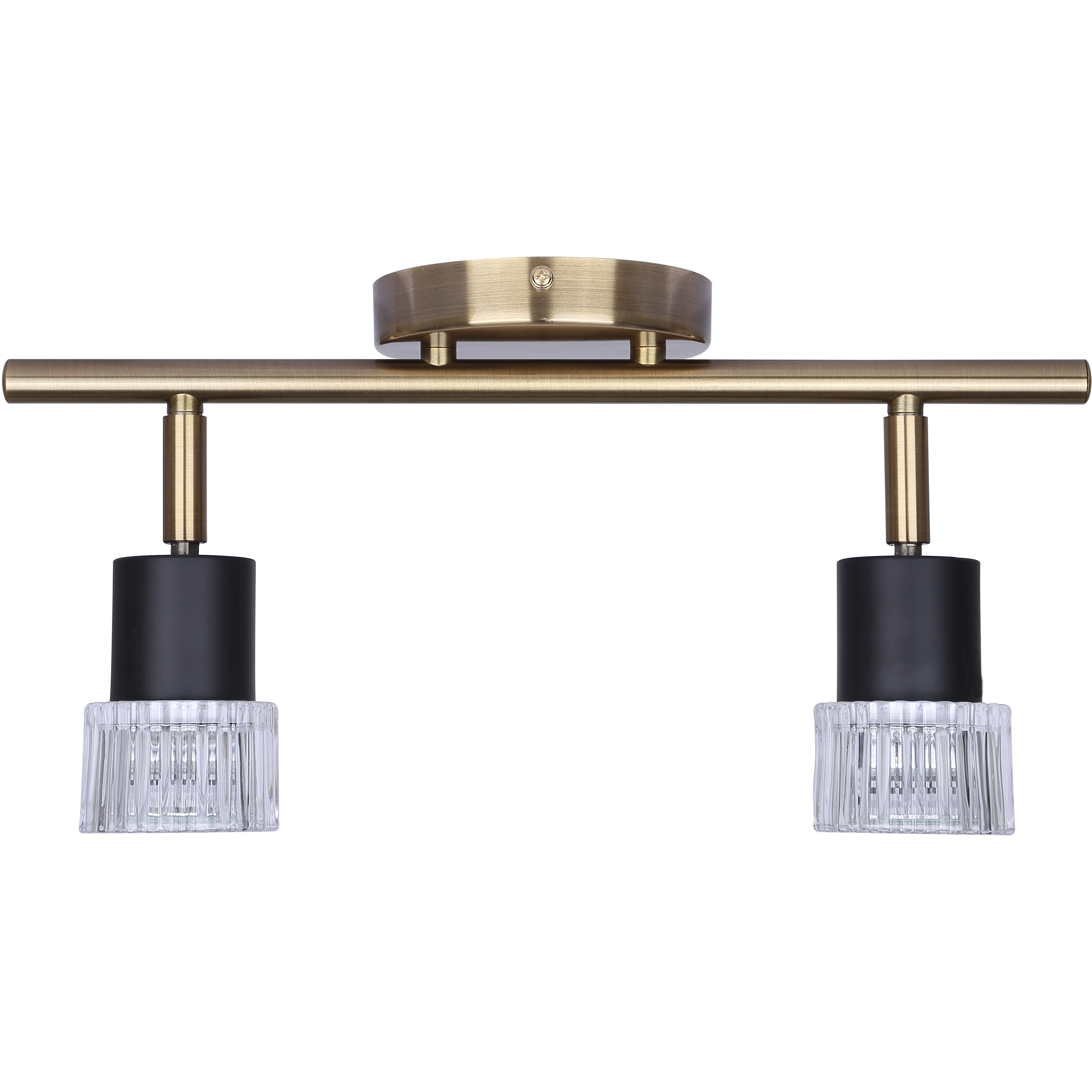 Elsee 2 Light Black/Gold Track Lighting Ceiling Light
