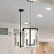 Aenon Pendant Ceiling Light in Matte Black