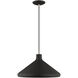 Geneva 1 Light 15.25 inch Black with Brushed Nickel Accents Cone Pendant Ceiling Light