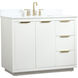 Blake 42 X 22 X 34 inch White Vanity Sink Set
