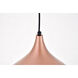 Circa 1 Light 12.5 inch Honey Gold Pendant Ceiling Light