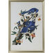 Audubon Blue Jay I 51 X 35 inch Print