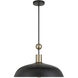 Biloxi 1 Light 10.63 inch Coal And Weathered Antique Brass Pendant Ceiling Light