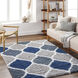 Urban Shag 114 X 79 inch Light Gray Rug, Rectangle