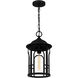 Brampton 1 Light 9.5 inch Matte Black Outdoor Hanging Lantern