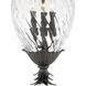 Plantation 4 Light 12.5 inch Museum Black Outdoor Hanging Lantern