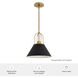Carrington Isle 1 Light 12 inch Luxe Gold Pendant Ceiling Light