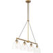 Sommersby Island Light Ceiling Light in Legacy Brass and Matte Coal