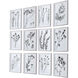 Contemporary Botanicals 22 X 16 inch Framed Prints, Set of 12