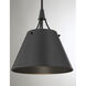 Willis 1 Light 14 inch Matte Black Pendant Ceiling Light