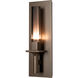 Windsor 1 Light 4.5 inch Bronze Wall Sconce Wall Light in Mirrored Smoke