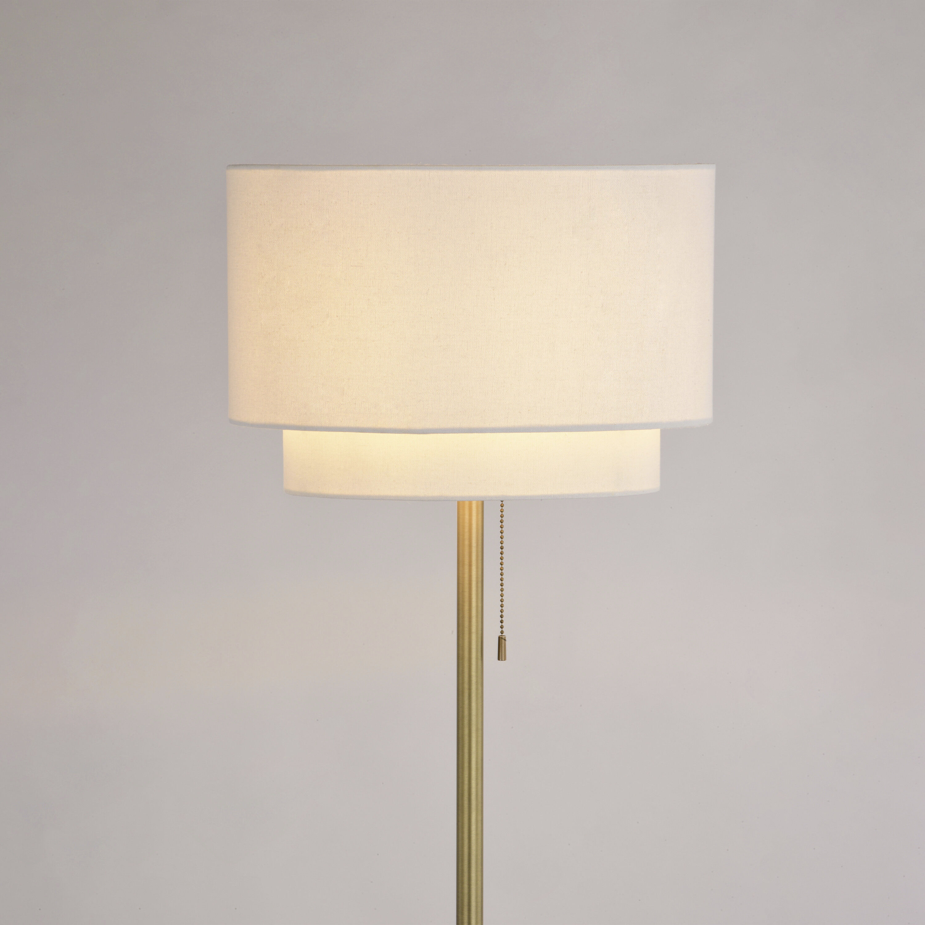 Burnaby 62.5 inch 100.00 watt Matte Brass Floor Lamp Portable Light