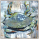The Crab The Oyster Blue and Green and Multi Canvas