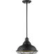 Newbridge 1 Light 12 inch Dark Bronze and Gold Pendant Ceiling Light