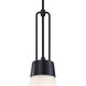 Evergreen Oasis LED 12 inch Matte Black Down Pendant Ceiling Light