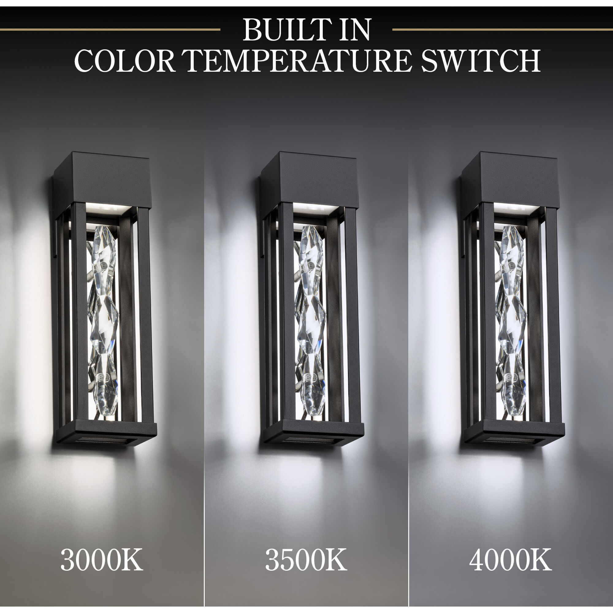 Polar LED 16 inch Black Outdoor Wall Light, Beyond