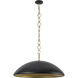 Alora Mood Grant 1 Light 27.63 inch Matte Black Pendant Ceiling Light